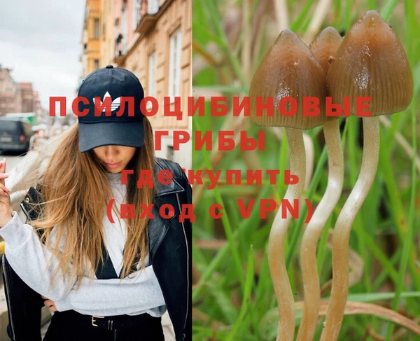 spice Михайловск