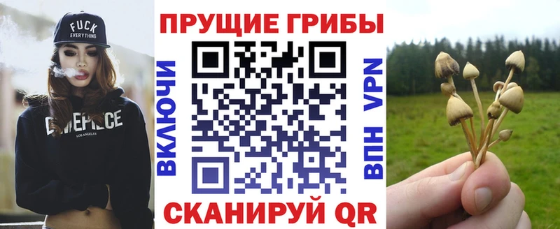 Галлюциногенные грибы GOLDEN TEACHER  Нестеров 
